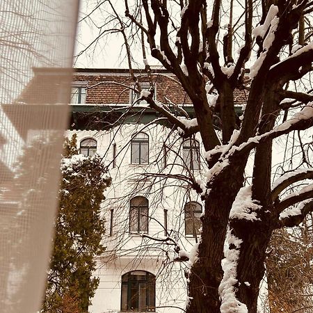 Apartment 5 Min Schoenbrunn Gloriette, Direct To City Center, Free Parking Βιέννη Εξωτερικό φωτογραφία